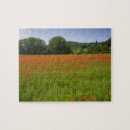 Suche nach landwirtschaftliches feld puzzle Cropland