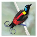 Suche nach bird of paradise poster Vogel