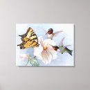 Suche nach kolibris leinwandbilder Vintag