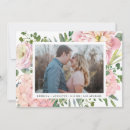 Suche nach rose retten Rosa
