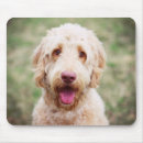 Suche nach lächelnder hund mousepads Haustier