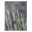 Suche nach kulinarisch kleine notizbücher Pflanze