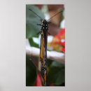 Suche nach schwarz weiß gold poster Blumen