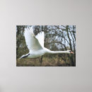 Suche nach eingewickelte leinwand Bild