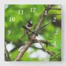Suche nach spatz kunst Wild