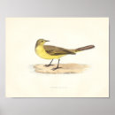 Suche nach wagtails Vintag