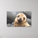 Suche nach jaynes galerie leinwandbilder Von nahem