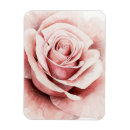 Suche nach rose magnete Rosa