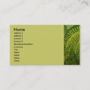 Suche nach grüner farn visitenkarten Natürlich