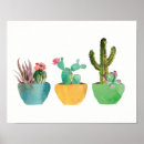Suche nach succulents poster Botanical