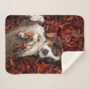 Suche nach für spanier decken Spaniel