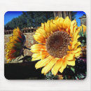 Suche nach sonnenblumen mousepads Blumig