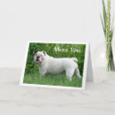 Suche nach bulldogge karten Welpe