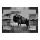 Suche nach gnu postkarten Tiere