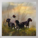 Suche nach drahthaar poster Jagdhund