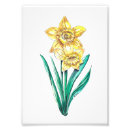 Suche nach aquarell botanisch poster Gelb