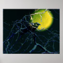 Suche nach crow poster Federn