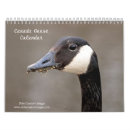 Suche nach gänse kalender Wasservögel