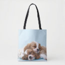 Suche nach spaniel taschen Unbekümmerter könig charles