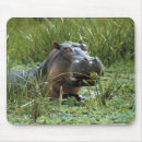 Suche nach nilpferde mousepads Natur