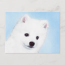 Suche nach amerikanische eskimo postkarten Hund