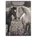 Suche nach pferdeliebe Tiere