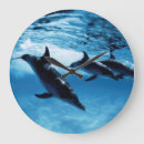 Suche nach delfin wanduhren Delphin