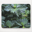 Suche nach das polynesien mousepads Tropisch