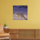 Suche nach arktischer fuchs poster Natur