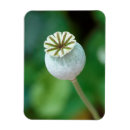 Suche nach western magnete Blume