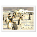 Suche nach kleiner pinguin poster Schnee