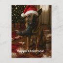 Suche nach malinois poster Belgischer schäferhund