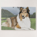 Suche nach collies puzzle Schafhund