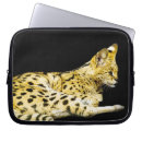 Suche nach säugetiere laptop schutzhüllen Tierwelt