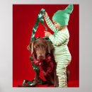 Suche nach kleiner hund poster Baby