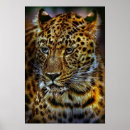 Suche nach große katzen poster Leopard