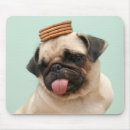 Suche nach niedlicher mops mousepads Zunge