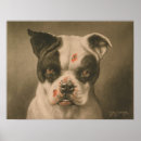 Suche nach schlechte poster Klassik