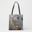 Suche nach siegel taschen Tierwelt