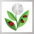 Suche nach marienkäfer poster Insekten