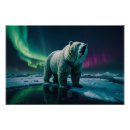 Suche nach polare aurora poster Generativitätsinhalt