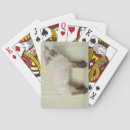 Suche nach lamm spielkarten Tier