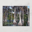 Suche nach sumpfgebiete postkarten Florida