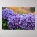 Suche nach impressionistisch poster Natur