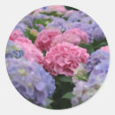 Suche nach rosa hydrangea aufkleber Liebe