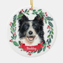 Suche nach border collie ornamente Ferien