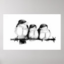 Suche nach kingfish poster Tiere