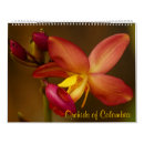 Suche nach orchidee kalender Tropische blumen