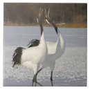 Suche nach kran fliesen Wild lebende tiere