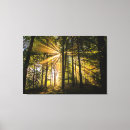 Suche nach verzauberter wald leinwandbilder Fantasie